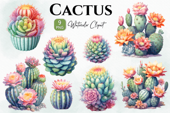 Cactus Watercolor Clipart Png: Illustrations for Sellers
