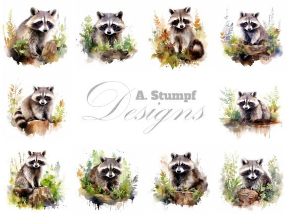 Cute Raccoon Watercolor Illustrations for Branding