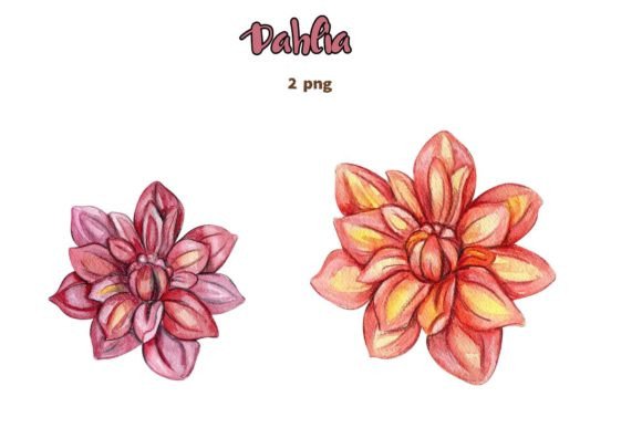 Dahlia Watercolor Flower Set: An Embroidery Review
