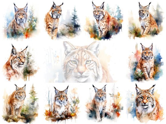 Lynx Digital Watercolor Clipart Set: Illustrations Review