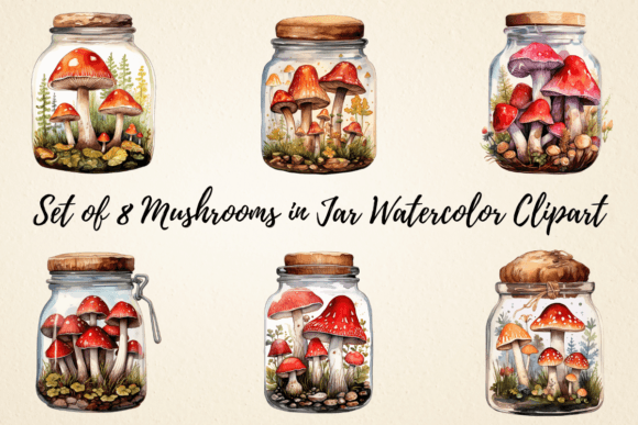 Mushrooms in Jar Illustrations for Branding