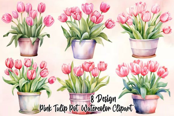 Pink Tulip Pot Watercolor Clipart: Editorial Illustrations