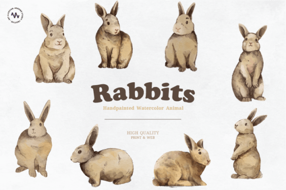 Rabbits Watercolor Hand Painted Illustrations Review
