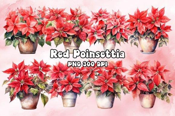 Red Poinsettia Watercolor Illustrations for Branding