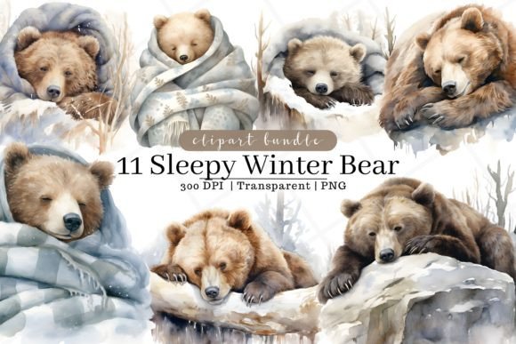 Sleepy Winter Bear Clipart: Illustrations for Cozy Branding