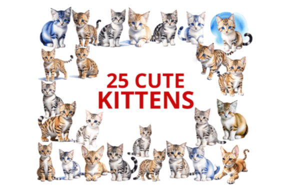 Watercolor Clipart: 25 Kittens Illustrations Review