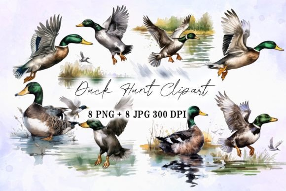 Watercolor Duck Hunt Flying Clipart: Illustrations Review