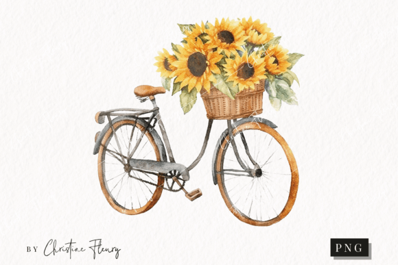 Watercolor Sunflower Vintage Bike Illustrations Review
